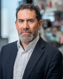 Luis Diaz Luis Diaz